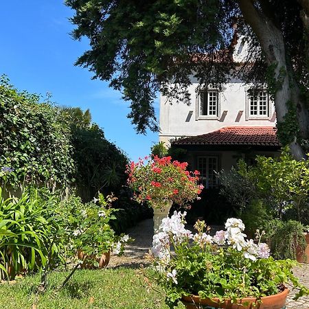 Villa Branca Jacinta Sintra Exterior foto