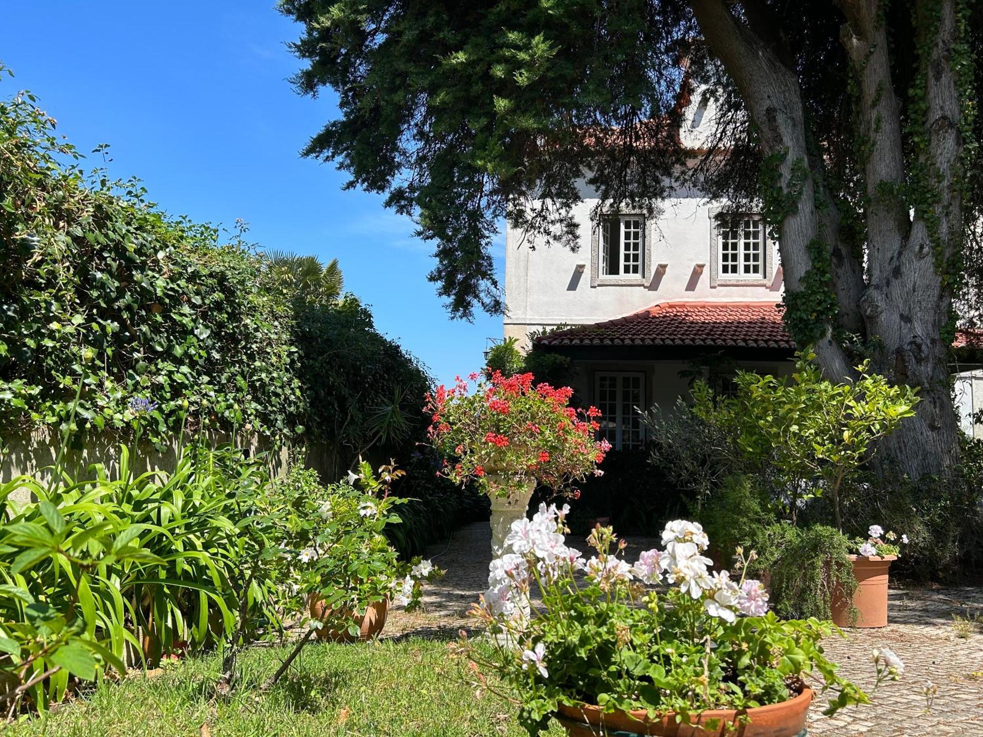 Villa Branca Jacinta Sintra Exterior foto